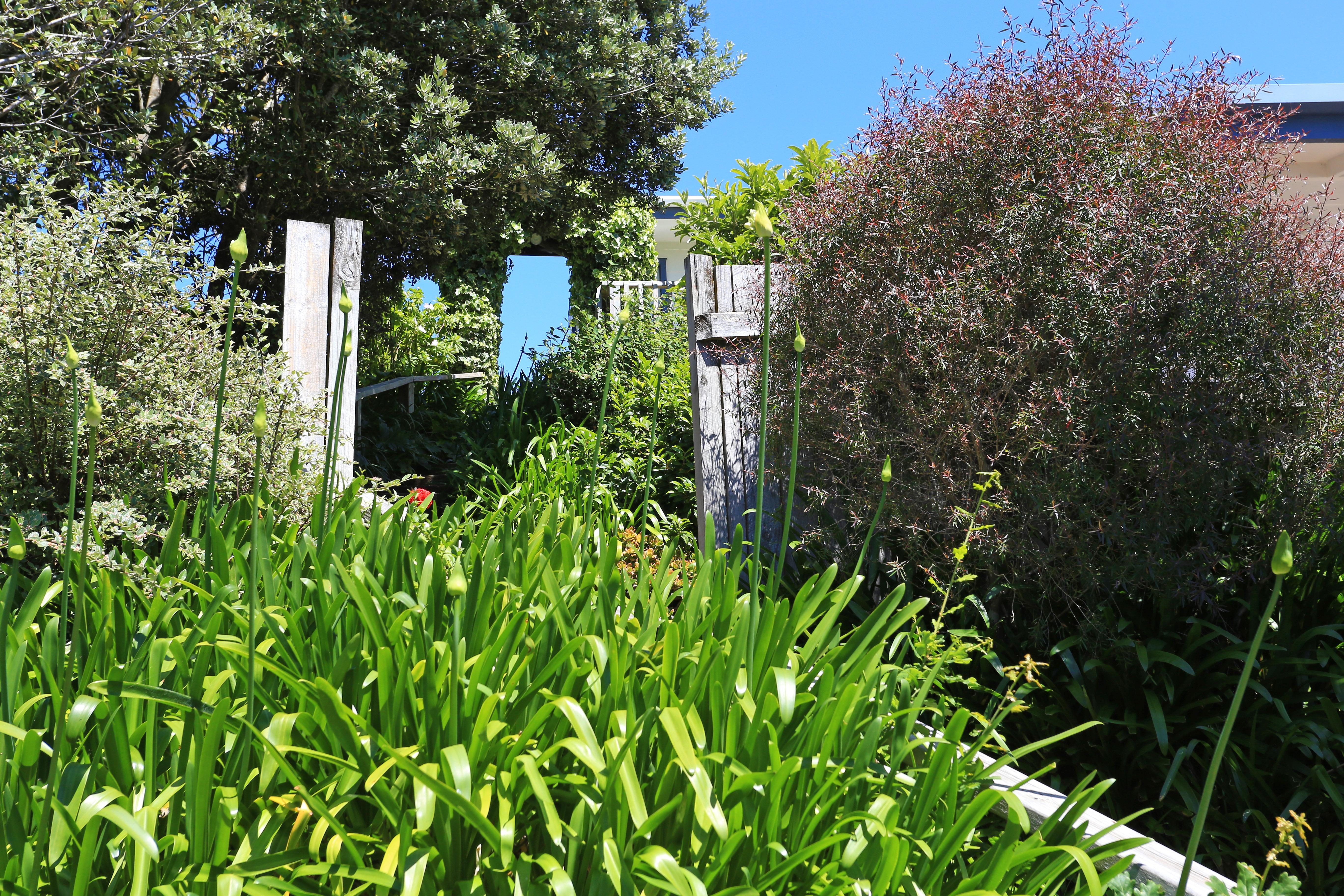 Waiheke Island Motel Ostend Extérieur photo